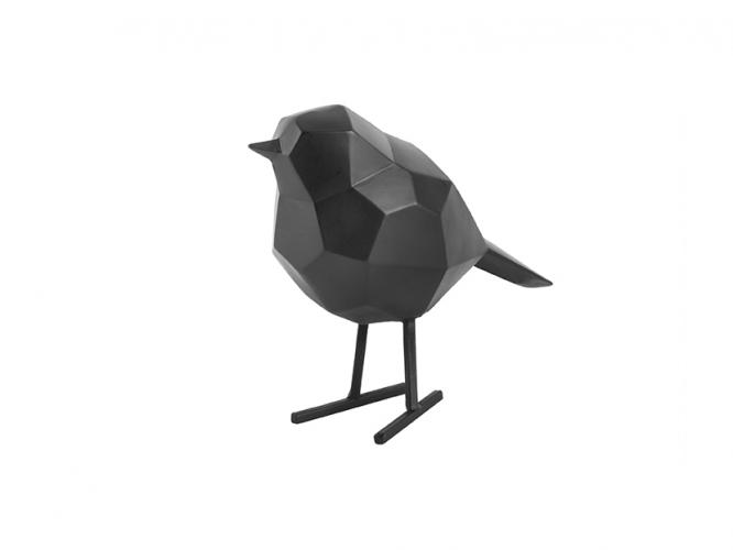 bird small madar fekete