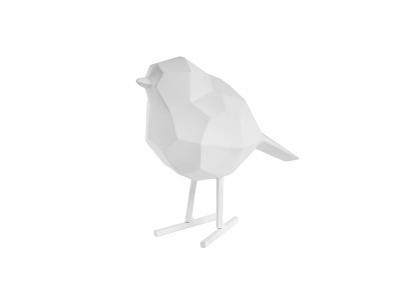 Bird Small madár fehér