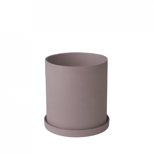 nona fuszernoveny tarto nagy bezs