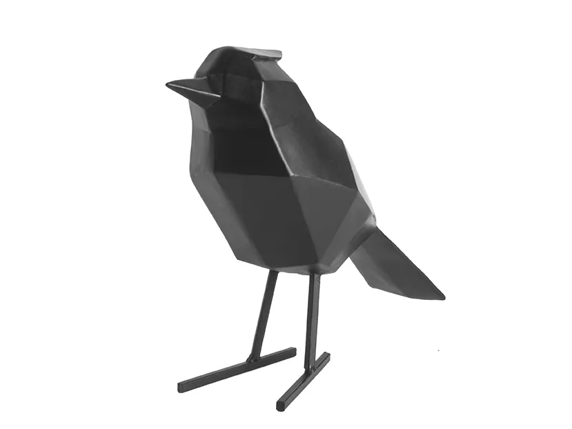 bird large madar fekete