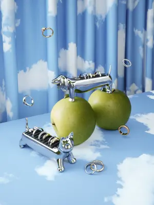 LB25 Spring_Chrome_Dachsie