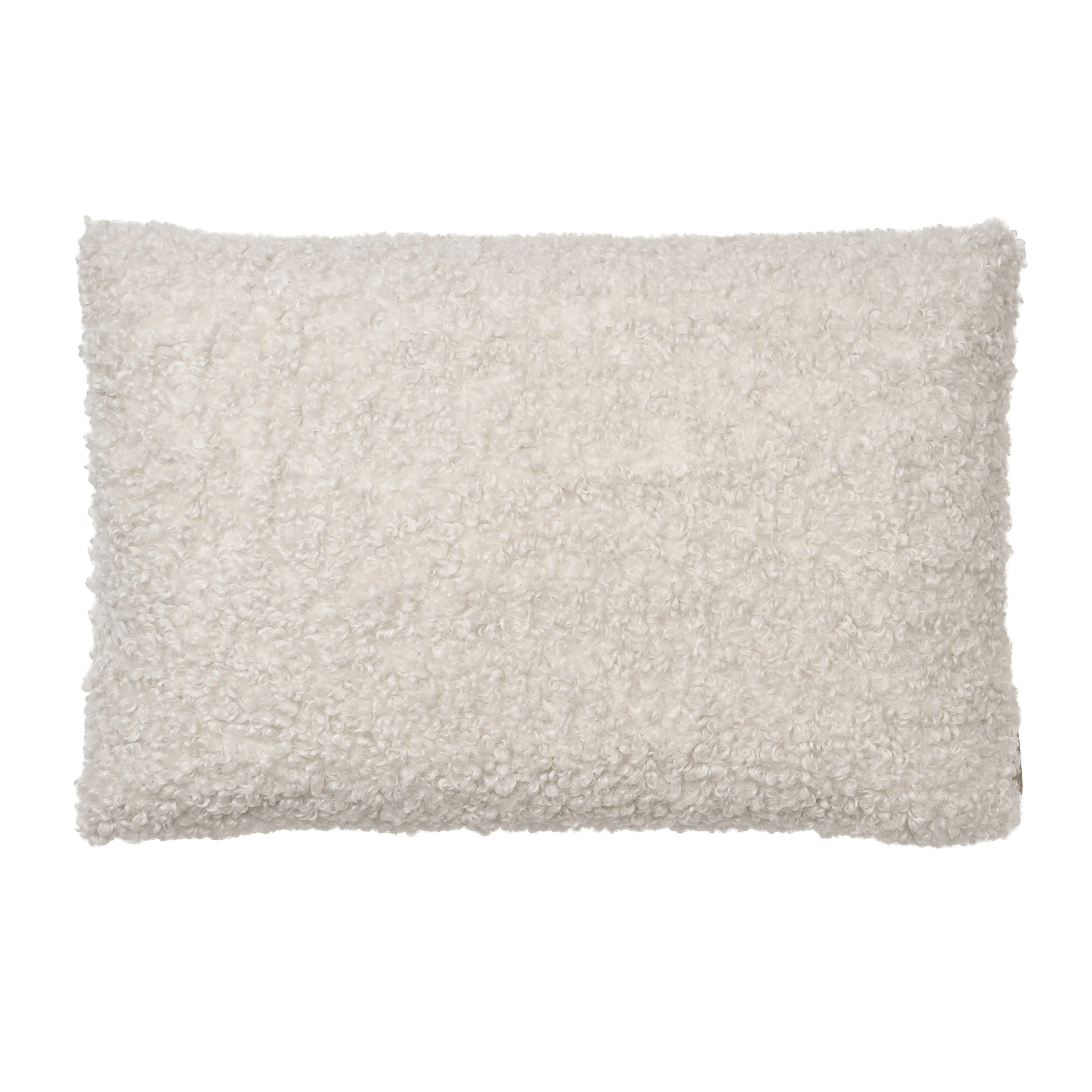 teddy parnahuzat 40x60 cm krem